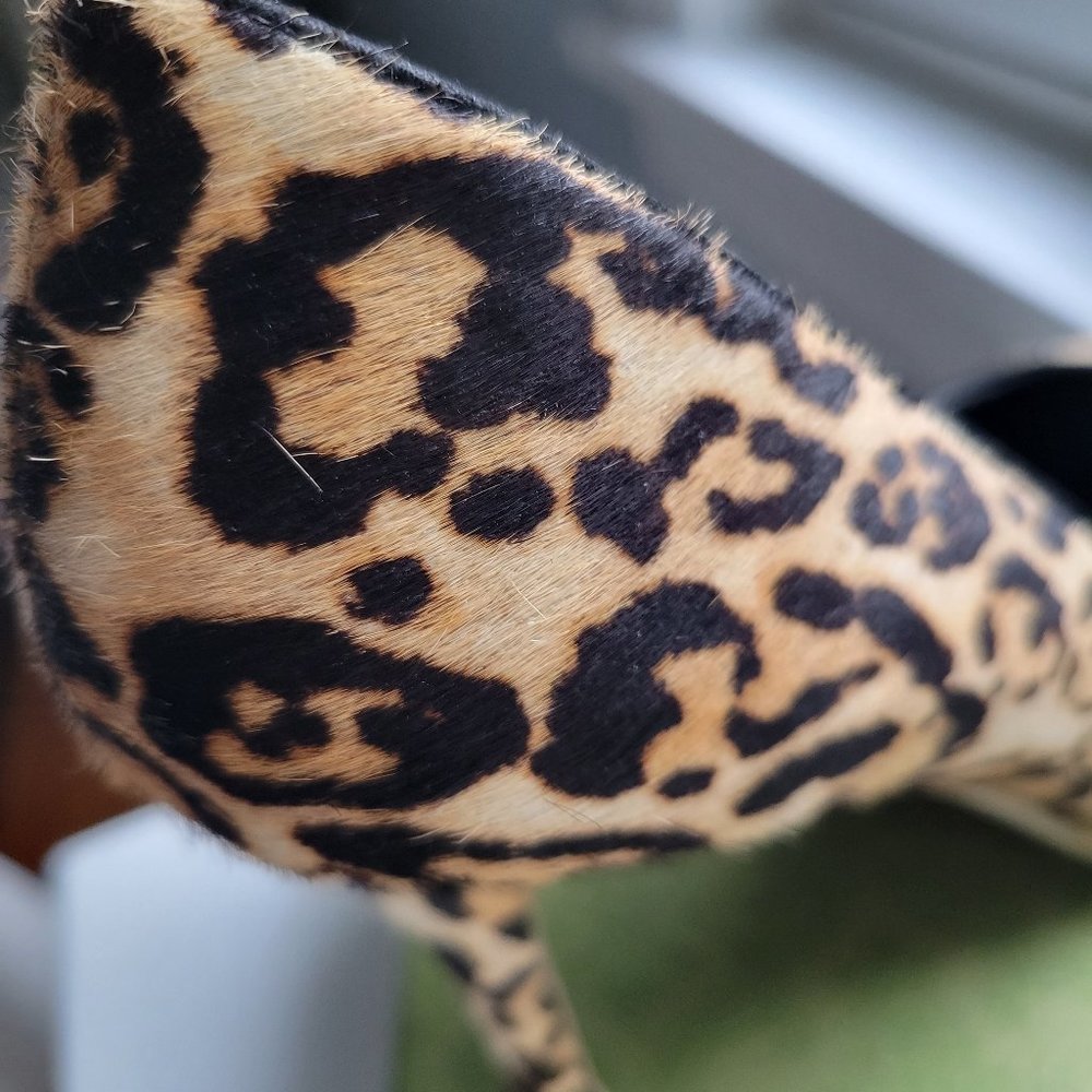 Pumps - Picture 3 of 3